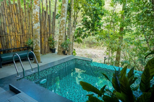 Ranches Jungle Beats image 2